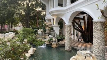 Bán đất mặt tiền Dương Quảng Hàm, P.6, Gò Vấp: 50 x 110, giá 390 tỷ.