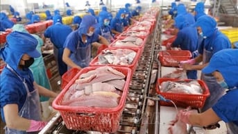 Bán nhà máy chế biến thuỷ hải sản tại Bạc Liêu, xuất khẩu hàng nhiều 