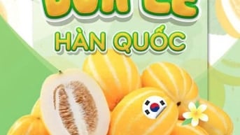 NGÀY HỘI DƯA LÊ HÀN QUỐC TRỞ LẠI – LÂU RỒI MỚI GẶP LẠI VỊ NGỌT NÀY!