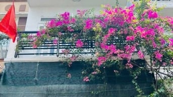 Chủ định cư cần bán gấp nhà Tôn Đản, phường 8, Q4, giá 3 tỷ 850
