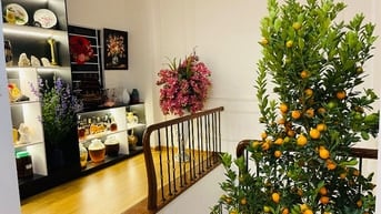 chính chủ bán nhà phố láng hạ nhà đẹp đầy đủ nội thất, 