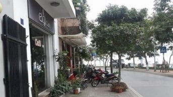 BÁN MẢNH ĐẤT VÀNG CÒN SÓT LẠI PHỐ TRẤN VŨ, BA ĐÌNH,131M,MT 17M, GIÁ TL