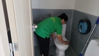 CHÍNH CHỦ CẦN TẠP VỤ LÀM NGAY QUẬN 12 KHÔNG QUAN TRỌNG TUỔI 