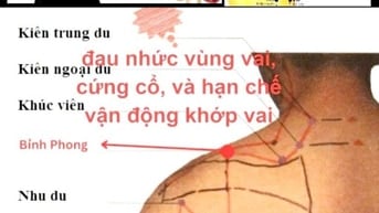 Dưỡng sinh Thận - Tâm an Thận khoẻ - Điều hoà kinh mạch toàn bộ cơ thể