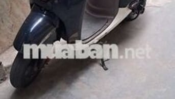 Bán xe ga 50cc