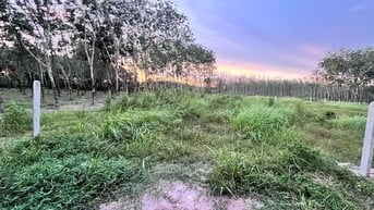 1056m2 mặt tiền đường xe hơi thông. Dân cư đông. 700tr 
