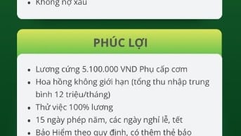 FE CREDIT tuyển NV tư vấn CSKH , giao tiếp tốt - thu nhập cực cao 