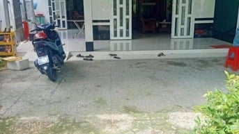 Ngộp rồi bán gấp nhà nằm ngay thị trấn Củ Chi 86m2 sổ riêng. Giá 780tr