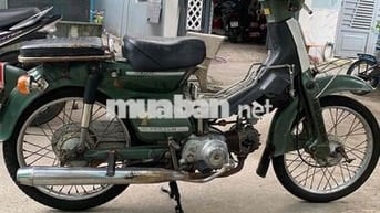 cub 81 đời đầu zin