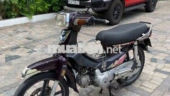 Xe Honda citi thùng