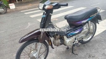 Xe dream Hàn Quốc
