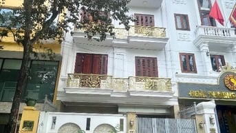Chính Chủ Bán Biệt Thự Mỹ Đình 2 Phố Bùi Xuân Phái 