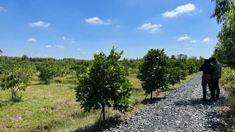 Bán Đất thổ cư Đường 833B, X.Long Cang, H.C.Đước, T.Long An giá 1.4tỷ