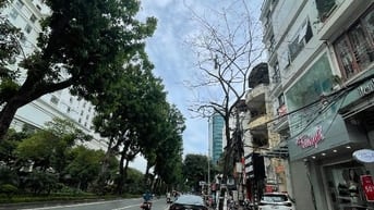 Bán nhà mặt tiền hơn 11m tại khu Giảng Võ, quận Ba Đình, Hà Nội