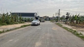 Bán đất phân lô tại chung cư Đồng Hải, An Hưng, Hồng Bàng.
