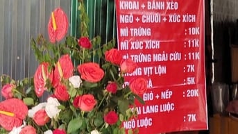 Chính chủ bán gấp cửa hàng mặt phố Phạm Văn Đồng, diện tích 16m2, MT 5