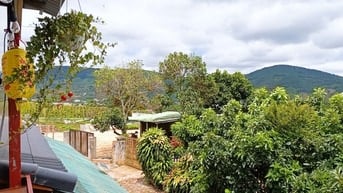 Cho thuê nhà gỗ vẹn đà lạt nghĩ dưỡng