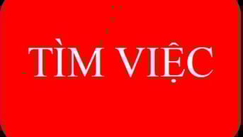 Gia Thành, 2002, trình độ Đại Học, tìm việc quản lý hoặc giám sát