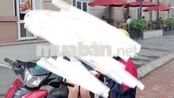 Bán xe wuay nguyên zin