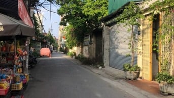 💥SIÊU PHẨM PHỐ XỐM -VỊ TRÍ VÀNG -Ô TÔ TRÁNH - CÁCH MẶT PHỐ VÀI BƯỚC💥