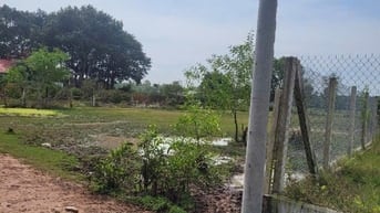 Bán đất Cách Đường 25C 300m, Gần Khu công Nghiệp.
