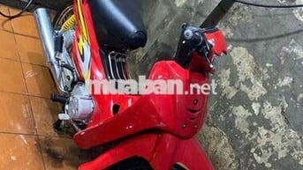 bán anpha đỏ cờ mộc zin