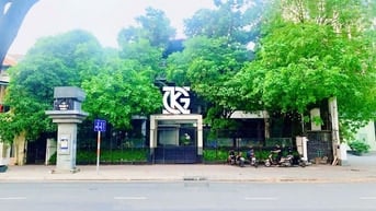 [ QUẬN 3 ] Cho Thuê Nhà: 236 Pasteur - 22x28m, 1 hầm, 4 tầng