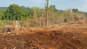 BÁN ĐẤT NN( CLN) MẶT TIỀN ĐƯỜNG QUÃNG PHÚ, PHƯỚC AN,BCHÂU ĐỨC,BRVT