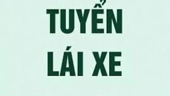 Cần tuyển tài xế có kinh nghiệm chở gia đình và sếp nam 