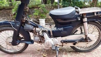 xe cup 50cc học sinh lên hơi khoẻ