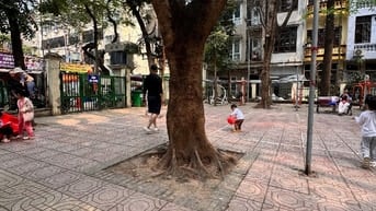 Bán TT tầng 1 mặt ngõ chợ 35 kim mã thượng 4,3 tỷ
