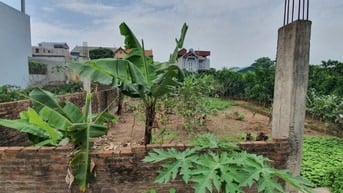 🌿 CẦN BÁN 2 LÔ ĐẤT VUÔNG ĐẸP NHƯ PHÂN LÔ TẠI XÃ PHƯỢNG SƠN, QUỐC OAI 