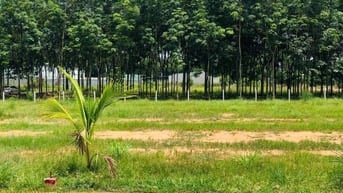 LÔ ĐÁT TÂN ĐỊNH THÀNH PHỐ MỚI BÌNH DƯƠNG 460TR CÒN MỖI LÔ DUY NHẤT 