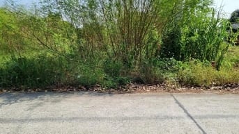 220m2 THỔ CƯ HẾT ĐẤT 1/ TỈNH LỘ 7 PHƯỚC THẠNH GẦN KÊNH ĐÔNG MÁT MẺ