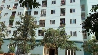 Cho thuê căn hộ chung cư tầng 2 - CT21A khu ĐTM Việt Hưng, 52m2, 2PN