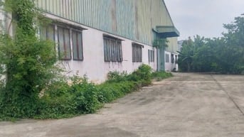 Bán nhà xưởng 8.208m2 tại Tân Vĩnh Hiệp, Tân Uyên, Bình Dương.