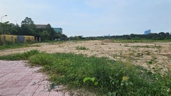 Cho thuê kho bãi. Đất làm bãi xe 