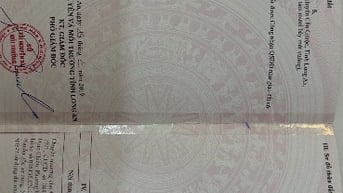 Cần bán đất Cần Giuộc,Lòng An 
