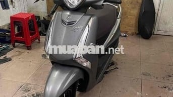 yamaha latte 2023