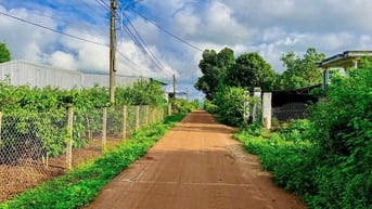 CẦN BÁN ĐẤT THỔ CƯ BIỂN HỒ PLEIKU