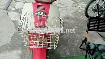 MAX NHẬT BSTP