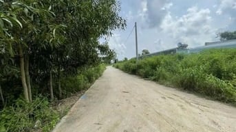 Công ty Đấu giá hợp danh Lam Sơn Sài Gòn THÔNG BÁO ĐẤU GIÁ TÀI SẢN