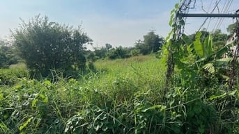 CÔNG TY ĐẤU GIÁ HỢP DANH MINH PHÁP THÔNG BÁO ĐẤU GIÁ TÀI SẢN