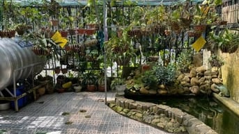 Bán Villa Hẻm ô tô Sổ riêng Nguyễn Hữu Cảnh, Phường 8, Đà Lạt