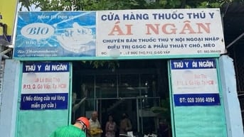 Nhà Mặt tiền DT:4,2x22m kinh doanh sầm uất Lê Đức Thọ, P13, Q.Gò Vấp.
