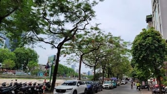 CỰC  CHẤT! Trung Văn, Nam Từ Liêm, 30m2, Đất, 3m MT. Giá 6.6 tỷ.