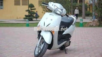 Xe scr không đi đến