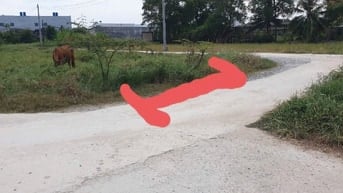 Chính chủ bán đất 100m2 giá 1,7 tỷ Long Cang, Cần Đước