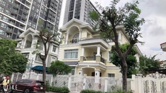 Cho thuê Biệt Thự VIP  Mỹ Vân Phú Mỹ Vân phú mỹ hưng giá 90 triệu