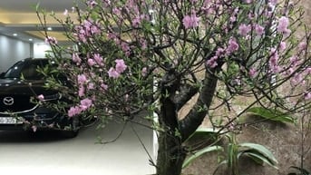Bán nhà Võ Thị Sáu dt 90m2, 3t, mt 7m, ô tô tránh kinh doanh.